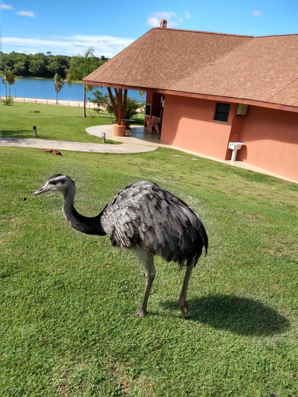 Malai Manso Cotista - Resort Acomodações 4 hosp Retiro  Extérieur photo
